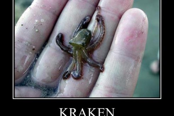 Как зайти на кракен kraken014 com